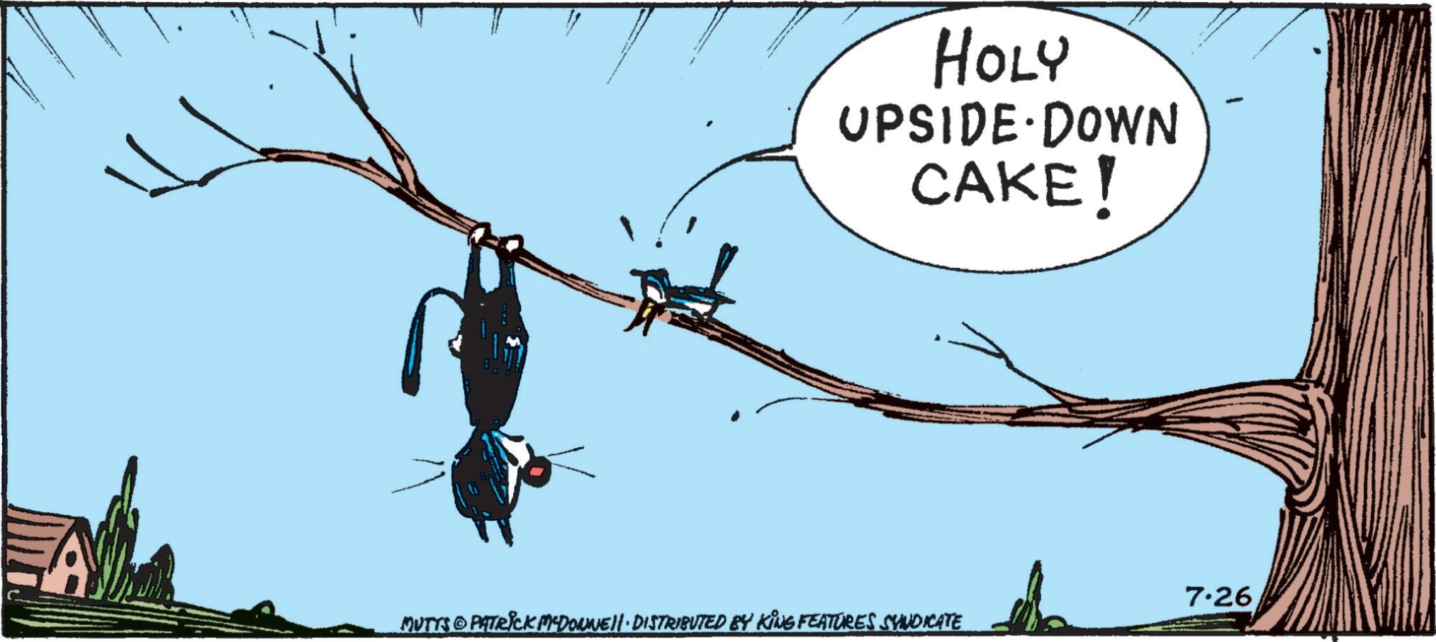 Plant OCR: HOLY UPSIDE DOWN CAKE! - 7.26 MUTTS © PATRICK MEDONNELI · DISTRIBUTED BY KING FEATURES SYNDICATE HOLY UPSIDE DOWN CAKE ! - 7.26 MUTTS © PATRICK MEDONNELI · DISTRIBUTED BY KING FEATURES SYNDICATE