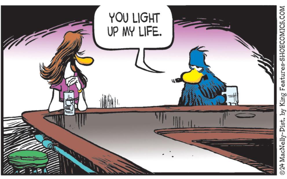 Drawing OCR: YOU LIGHT UP MY LIFE. ©24 MacNelly-Dist. by King Features-SHOECOMICS.COM YOU LIGHT UP MY LIFE . © 24 MacNelly - Dist . by King Features-SHOECOMICS.COM