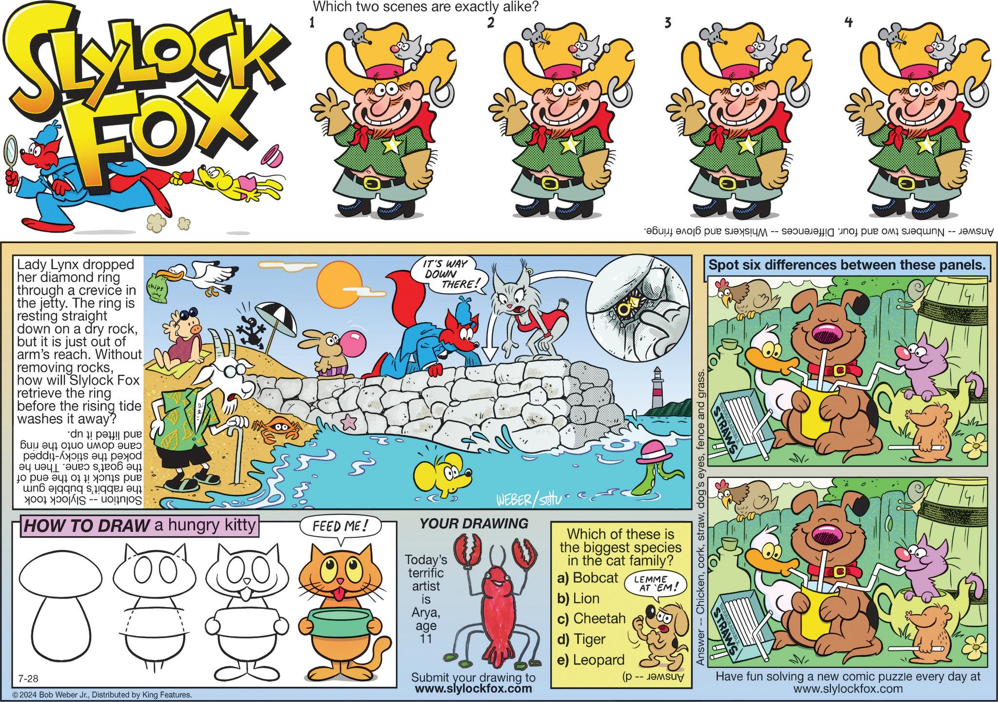 Font OCR: SLYLOCK FOX Lady Lynx dropped her diamond ring through a crevice in the jetty. The ring is resting straight down on a dry rockbut it is just out of arm's reach. Without removing rockshow will Slylock Fox retrieve the ring before the rising tide washes it away? pa pe ??? ?????? ???? ??? - ?? ? ?? ??? ? 0 ! pue chips 1 Which two scenes are exactly alike? 2 IT'S WAY DOWN THERE! -- HOW TO DRAW a hungry kitty| 88 7-28 2024 Bob Weber Jr.Distributed by King Features. D3 FEED ME! WEBER/Sotu YOUR DRAWING Today's terrific artist is Aryaage 11 Submit your drawing to www.slylockfox.com Which of these is the biggest species in the cat family? a) Bobcat b) Lion c) Cheetah d) Tiger e) Leopard ( LEMME -- AT EM! Answer Chickenfence and grass. Spot six differences between these panels. ?? V Have fun solving a new comic puzzle every day at www.slylockfox.com SLYLOCK FOX Lady Lynx dropped her diamond ring through a crevice in the jetty . The ring is resting straight down on a dry rockbut it is just out of arm's reach . Without removing rockshow will Slylock Fox retrieve the ring before the rising tide washes it away ? pa pe ??? ?????? ???? ??? - ?? ? ?? ??? ? 0 ! pue chips 1 Which two scenes are exactly alike ? 2 IT'S WAY DOWN THERE ! -- HOW TO DRAW a hungry kitty | 88 7-28 2024 Bob Weber Jr.Distributed by King Features . D3 FEED ME ! WEBER / Sotu YOUR DRAWING Today's terrific artist is Aryaage 11 Submit your drawing to www.slylockfox.com Which of these is the biggest species in the cat family ? a ) Bobcat b ) Lion c ) Cheetah d ) Tiger e ) Leopard ( LEMME -- AT EM ! Answer Chickendog's eyesfence and grass . Spot six differences between these panels . ?? V Have fun solving a new comic puzzle every day at www.slylockfox.com