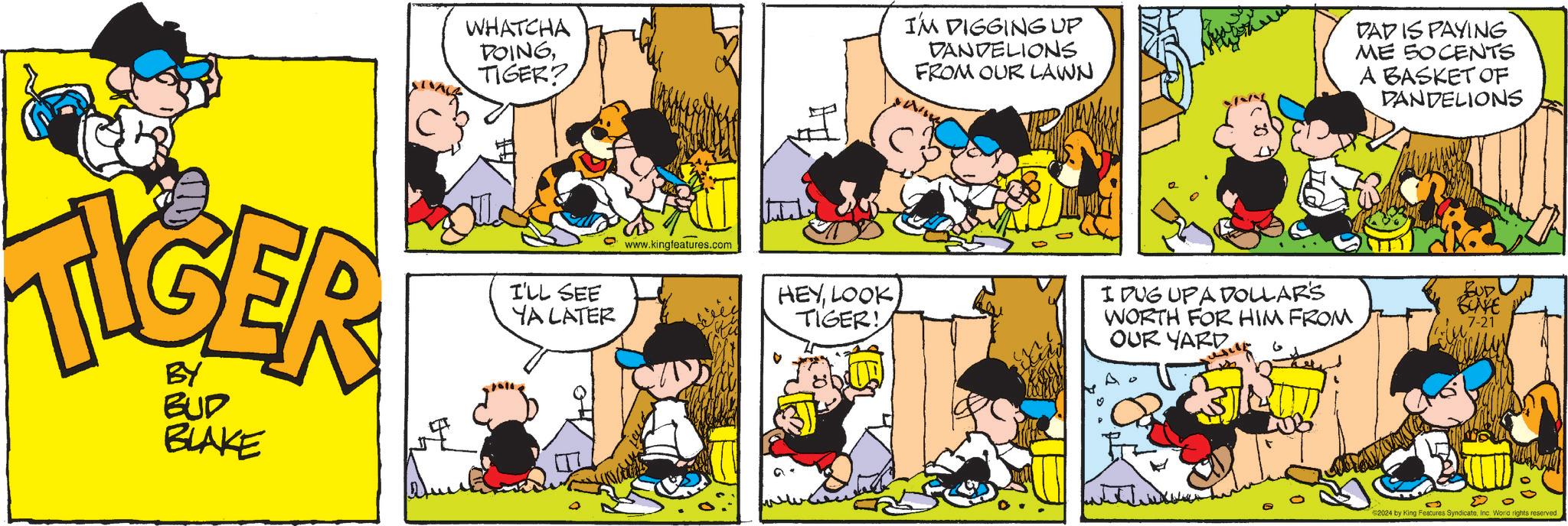 Mammal OCR: BY BUD BLAKE ? WHATCHA DOINGTIGER? I'M DIGGING UP DANDELIONS FROM OUR LAWN DAD IS PAYING ME 50 CENTS A BASKET OF DANDELIONS I'LL SEE YA LATER www.kingfeatures.com 0: HEYLOOK TIGER! I DUG UP A DOLLAR'S WORTH FOR HIM FROM OUR YARD BUD! BUNKE 7-21 2024 by King Features SyndicateInc. World rights reserved. BY BUD BLAKE ? WHATCHA DOINGTIGER ? I'M DIGGING UP DANDELIONS FROM OUR LAWN DAD IS PAYING ME 50 CENTS A BASKET OF DANDELIONS I'LL SEE YA LATER www.kingfeatures.com 0 : HEYLOOK TIGER ! I DUG UP A DOLLAR'S WORTH FOR HIM FROM OUR YARD BUD ! BUNKE 7-21 2024 by King Features SyndicateInc. World rights reserved .