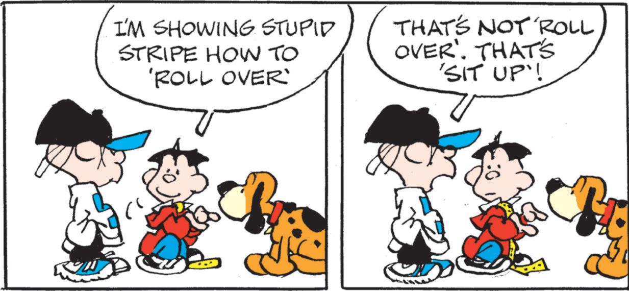 Happy OCR: I'M SHOWING STUPID STRIPE HOW TO 'ROLL OVER' THAT'S NOT ROLL OVER'. THAT'S 'SIT UP'! I'M SHOWING STUPID STRIPE HOW TO ' ROLL OVER ' THAT'S NOT ROLL OVER ' . THAT'S ' SIT UP ' !