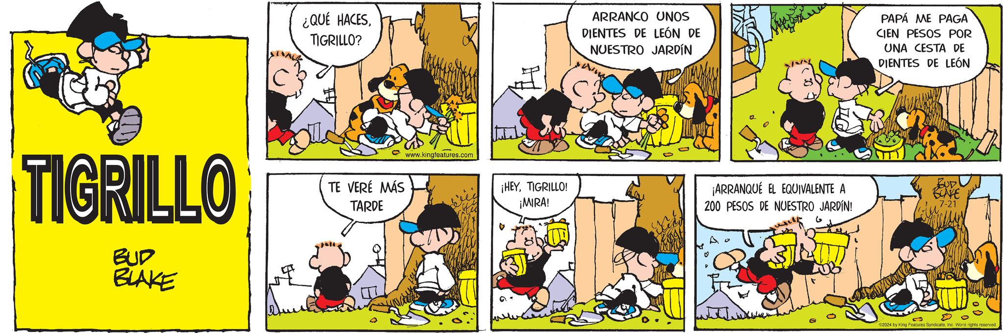 Yellow OCR: ¿QUÉ HACESTIGRILLO? ARRANCO UNOS DIENTES DE LEÓN DE NUESTRO JARDÍN PAPÁ ME PAGA CIEN PESOS POR UNA CESTA DE DIENTES DE LEÓN TIGRILLO BUD BLAKE TE VERÉ MÁS TARDE www.kingfeatures.com ¡HEYTIGRILLO! ¡MIRA! ¡ARRANQUE EL EQUIVALENTE A BUD BLAKE 200 PESOS DE NUESTRO JARDÍN! 7-21 2024 by King Features SyndicateInc. World rights reserved ¿ QUÉ HACESTIGRILLO ? ARRANCO UNOS DIENTES DE LEÓN DE NUESTRO JARDÍN PAPÁ ME PAGA CIEN PESOS POR UNA CESTA DE DIENTES DE LEÓN TIGRILLO BUD BLAKE TE VERÉ MÁS TARDE www.kingfeatures.com ¡ HEYTIGRILLO ! ¡ MIRA ! ¡ ARRANQUE EL EQUIVALENTE A BUD BLAKE 200 PESOS DE NUESTRO JARDÍN ! 7-21 2024 by King Features SyndicateInc. World rights reserved