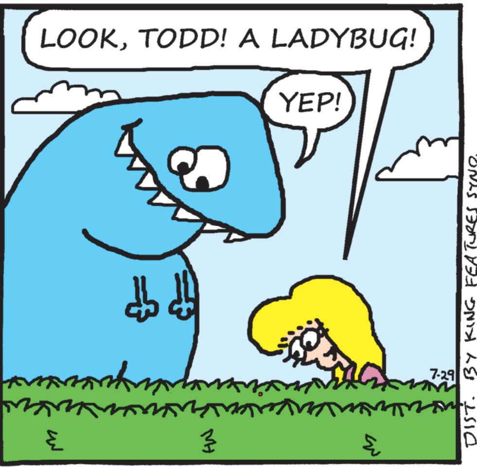 Sharing OCR: ? ? 3 ?????????? 7.29 M DIST. BY KING FEATURES LOOKTODD! A LADYBUG! YEP! ? ? 3 ?????????? 7.29 M DIST . BY KING FEATURES LOOKTODD ! A LADYBUG ! YEP !