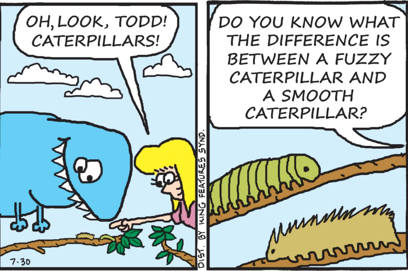 Sharing OCR: 7.30 OHTODD! CATERPILLARS! DO YOU KNOW WHAT THE DIFFERENCE IS BETWEEN A FUZZY CATERPILLAR AND A SMOOTH CATERPILLAR? DIST. BY KING FEATURES SYND. 7.30 OHTODD ! CATERPILLARS ! DO YOU KNOW WHAT THE DIFFERENCE IS BETWEEN A FUZZY CATERPILLAR AND A SMOOTH CATERPILLAR ? DIST . BY KING FEATURES SYND .