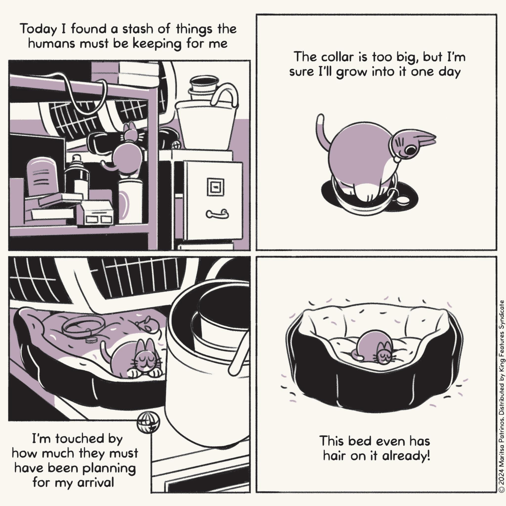 Terrestrial animal OCR: Today I found a stash of things the humans must be keeping for me The collar is too bigbut I'm sure I'll grow into it one day ? I'm touched by how much they must have been planning for my arrival This bed even has hair on it already! © 2024 Maritsa Patrinos. Distributed by King Features Syndicate Today I found a stash of things the humans must be keeping for me The collar is too bigbut I'm sure I'll grow into it one day ? I'm touched by how much they must have been planning for my arrival This bed even has hair on it already ! © 2024 Maritsa Patrinos . Distributed by King Features Syndicate