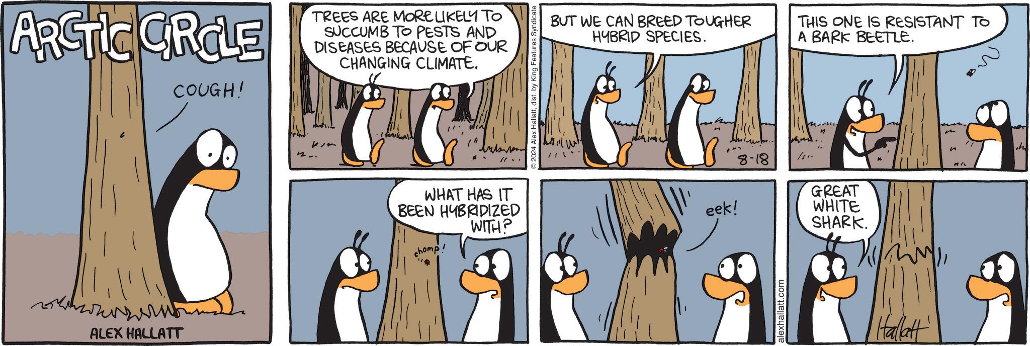 Line OCR: ARCTIC CIRCLE COUGH! TREES ARE MORE LIKELY TO SUCCUMB TO PESTS AND DISEASES BECAUSE OF OUR CHANGING CLIMATE. ALEX HALLATT 11. ding 14 ".. WHAT HAS IT BEEN HYBRIDIZED chomp! WITH? 2024 Alex Hallattdist. by King BUT WE CAN BREED TOUGHER HYBRID SPECIES. eek! 8-18 1. alexhallatt.com THIS ONE IS RESISTANT TO A BARK BEETLE. n GREAT WHITE SHARK. Hallatt ARCTIC CIRCLE COUGH ! TREES ARE MORE LIKELY TO SUCCUMB TO PESTS AND DISEASES BECAUSE OF OUR CHANGING CLIMATE . ALEX HALLATT 11. ding 14 " .. WHAT HAS IT BEEN HYBRIDIZED chomp ! WITH ? 2024 Alex Hallattdist . by King BUT WE CAN BREED TOUGHER HYBRID SPECIES . eek ! 8-18 1 . alexhallatt.com THIS ONE IS RESISTANT TO A BARK BEETLE . n GREAT WHITE SHARK . Hallatt