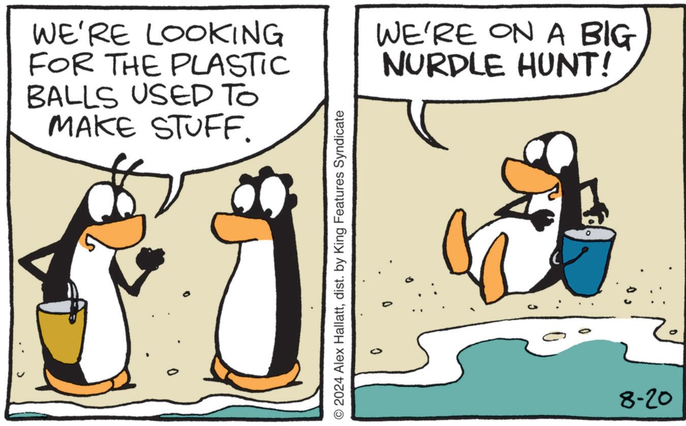 Humour OCR: WE'RE LOOKING FOR THE PLASTIC BALLS USED TO MAKE STUFF. © 2024 Alex Hallattdist. by King Features Syndicate 0 WE'RE ON A BIG NURDLE HUNT! 8-20 WE'RE LOOKING FOR THE PLASTIC BALLS USED TO MAKE STUFF . © 2024 Alex Hallattdist . by King Features Syndicate 0 WE'RE ON A BIG NURDLE HUNT ! 8-20
