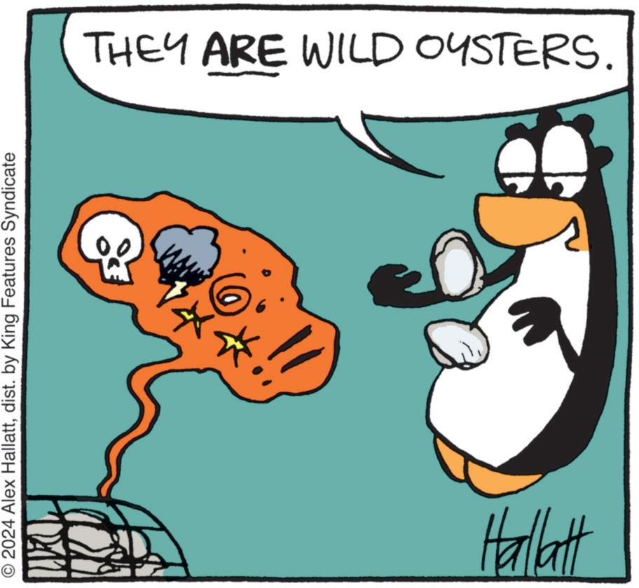 Art OCR: 2024 Alex Hallattdist. by King Features Syndicate THEY ARE WILD OYSTERS. Hallatt 2024 Alex Hallattdist . by King Features Syndicate THEY ARE WILD OYSTERS . Hallatt