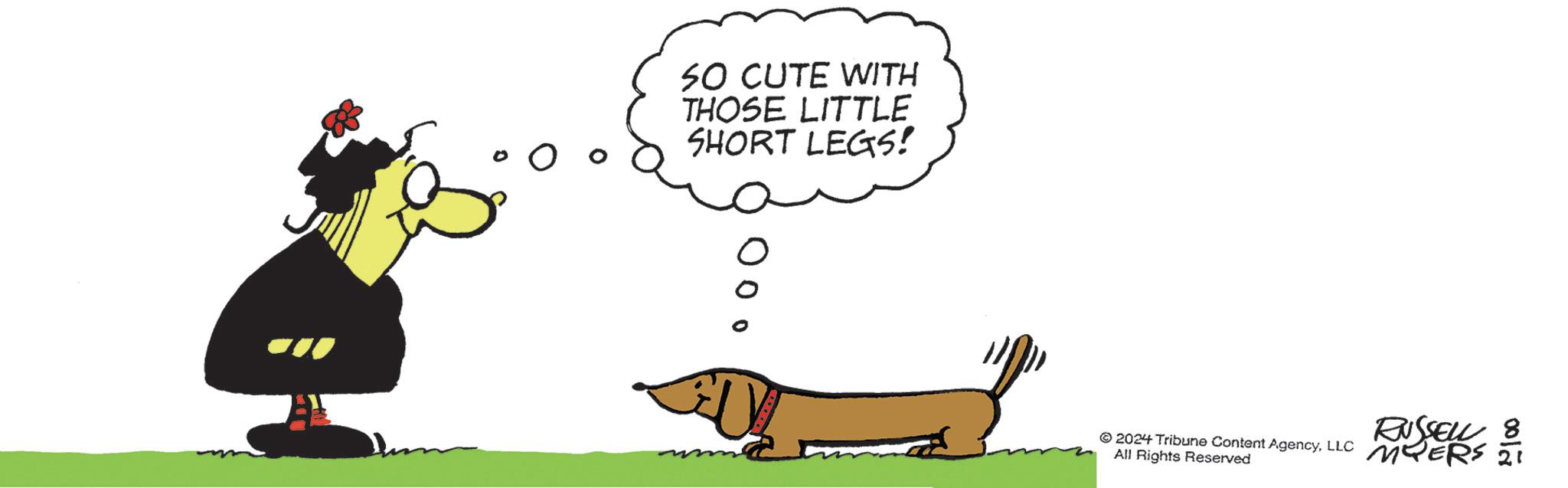 Tail OCR: SO CUTE WITH THOSE LITTLE SHORT LEGS! 000 2024 Tribune Content AgencyLLC All Rights Reserved RUSSELL 8 MYERS 21 SO CUTE WITH THOSE LITTLE SHORT LEGS ! 000 2024 Tribune Content AgencyLLC All Rights Reserved RUSSELL 8 MYERS 21