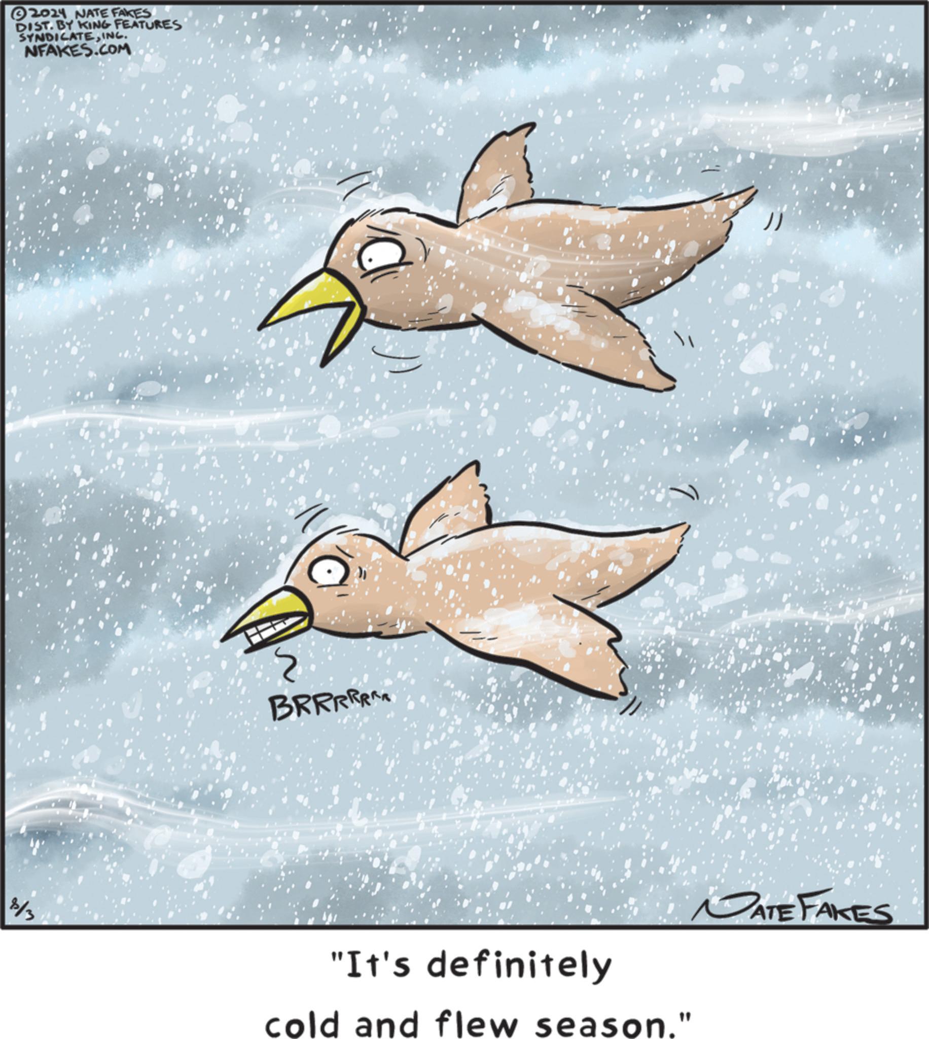 Water bird OCR: 2024 NATE FAKES DIST. BY KING FEATURES SYNDICATEINC. NFAKES.COM 3/3 BRRRRRAA "It's definitely cold and flew season." MATE FAKES 2024 NATE FAKES DIST . BY KING FEATURES SYNDICATEINC . NFAKES.COM 3/3 BRRRRRAA " It's definitely cold and flew season . " MATE FAKES