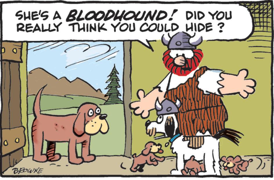 Adaptation OCR: 0 O SHE'S A BLOODHOUND! DID YOU REALLY THINK YOU COULD HIDE? BROWNE 0 O SHE'S A BLOODHOUND ! DID YOU REALLY THINK YOU COULD HIDE ? BROWNE