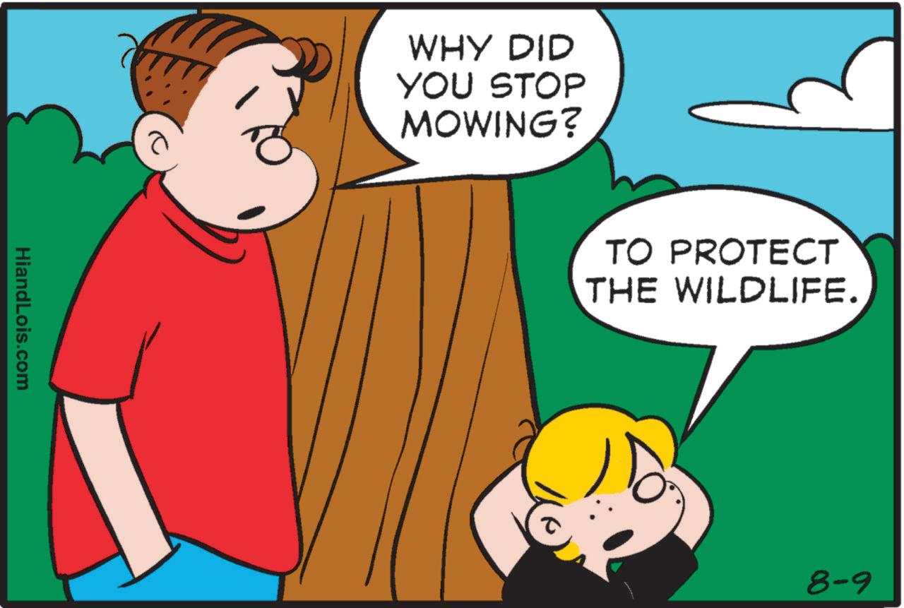 Line OCR: HiandLois.com WHY DID YOU STOP MOWING? TO PROTECT THE WILDLIFE. 8-9 HiandLois.com WHY DID YOU STOP MOWING ? TO PROTECT THE WILDLIFE . 8-9
