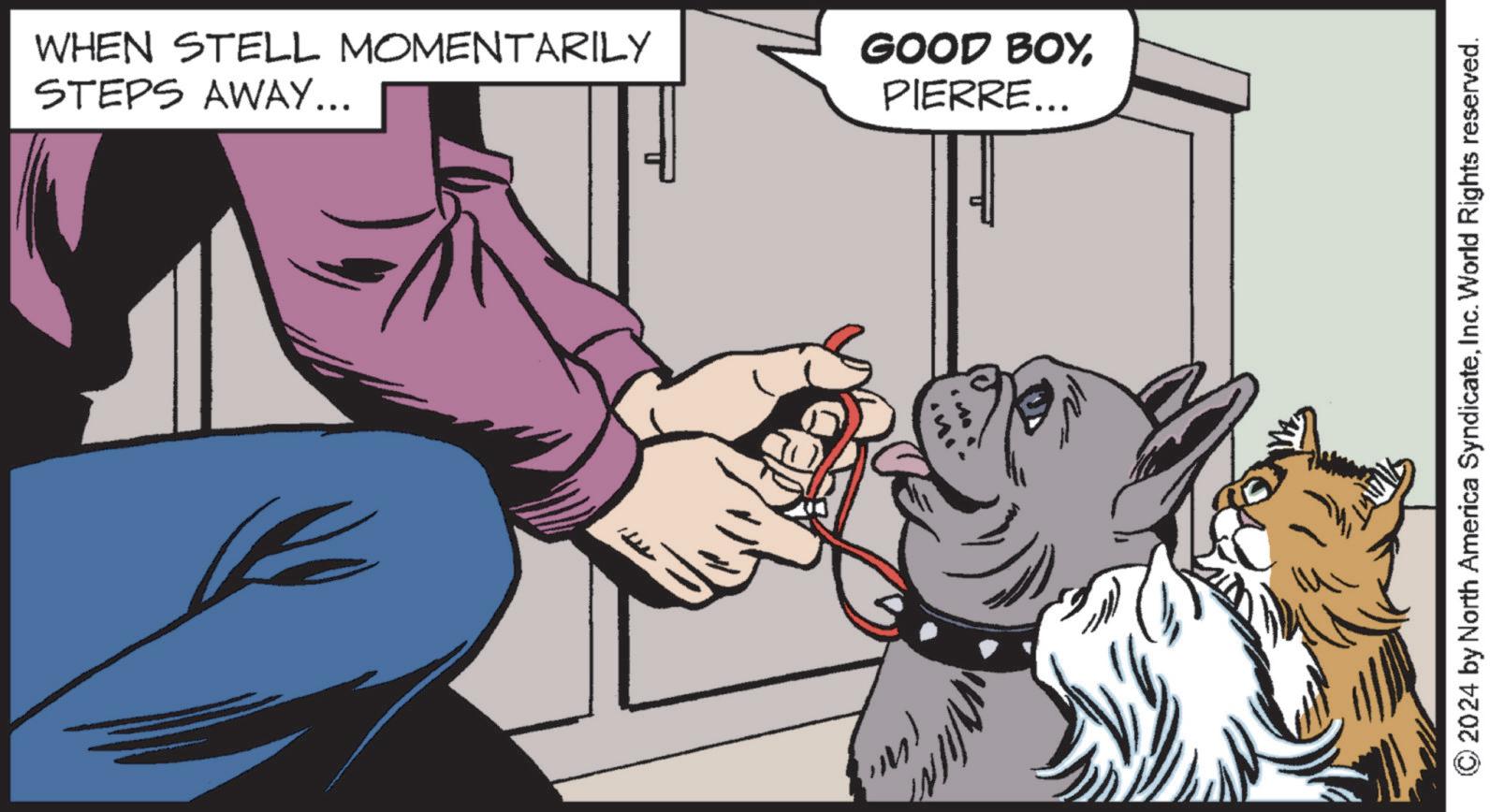 Line OCR: WHEN STELL MOMENTARILY STEPS AWAY... GOOD BOYPIERRE... ???? ????? © 2024 by North America SyndicateInc. World Rights reserved. WHEN STELL MOMENTARILY STEPS AWAY ... GOOD BOYPIERRE ... ???? ????? © 2024 by North America SyndicateInc. World Rights reserved .