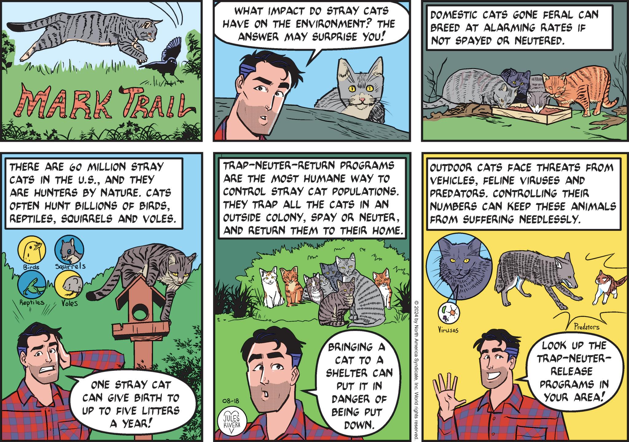 Line OCR: MARK TRAIL WHAT IMPACT DO STRAY CATS HAVE ON THE ENVIRONMENT? THE ANSWER MAY SURPRISE YOU! DOMESTIC CATS GONE FERAL CAN BREED AT ALARMING RATES IF NOT SPAYED OR NEUTERED. THERE ARE GO MILLION STRAY CATS IN THE U.S.AND THEY ARE HUNTERS BY NATURE. CATS OFTEN HUNT BILLIONS OF BIRDSSQUIRRELS AND VOLES. TRAP-NEUTER-RETURN PROGRAMS ARE THE MOST HUMANE WAY TO CONTROL STRAY CAT POPULATIONS. THEY TRAP ALL THE CATS IN AN OUTSIDE COLONYAND RETURN THEM TO THEIR HOME. m M m ?? OUTDOOR CATS FACE THREATS FROM VEHICLESFELINE VIRUSES AND PREDATORS. CONTROLLING THEIR NUMBERS CAN KEEP THESE ANIMALS FROM SUFFERING NEEDLESSLY. Birds Reptiles W Squirrels Voles ???? ? ? ONE STRAY CAT CAN GIVE BIRTH TO UP TO FIVE LITTERS A YEAR! 08-18 JULES RIVERA BRINGING A CAT TO A SHELTER CAN PUT IT IN DANGER OF BEING PUT DOWN. 2024 by North America SyndicateInc. World rights reserved. Viruses Predators LOOK UP THE TRAP-NEUTER- RELEASE PROGRAMS IN YOUR AREA! ? MARK TRAIL WHAT IMPACT DO STRAY CATS HAVE ON THE ENVIRONMENT ? THE ANSWER MAY SURPRISE YOU ! DOMESTIC CATS GONE FERAL CAN BREED AT ALARMING RATES IF NOT SPAYED OR NEUTERED . THERE ARE GO MILLION STRAY CATS IN THE U.S.AND THEY ARE HUNTERS BY NATURE . CATS OFTEN HUNT BILLIONS OF BIRDSSQUIRRELS AND VOLES . TRAP - NEUTER - RETURN PROGRAMS ARE THE MOST HUMANE WAY TO CONTROL STRAY CAT POPULATIONS . THEY TRAP ALL THE CATS IN AN OUTSIDE COLONYSPAY OR NEUTERAND RETURN THEM TO THEIR HOME . m M m ?? OUTDOOR CATS FACE THREATS FROM VEHICLESFELINE VIRUSES AND PREDATORS . CONTROLLING THEIR NUMBERS CAN KEEP THESE ANIMALS FROM SUFFERING NEEDLESSLY . Birds Reptiles W Squirrels Voles ???? ? ? ONE STRAY CAT CAN GIVE BIRTH TO UP TO FIVE LITTERS A YEAR ! 08-18 JULES RIVERA BRINGING A CAT TO A SHELTER CAN PUT IT IN DANGER OF BEING PUT DOWN . 2024 by North America SyndicateInc. World rights reserved . Viruses Predators LOOK UP THE TRAP - NEUTER- RELEASE PROGRAMS IN YOUR AREA ! ?
