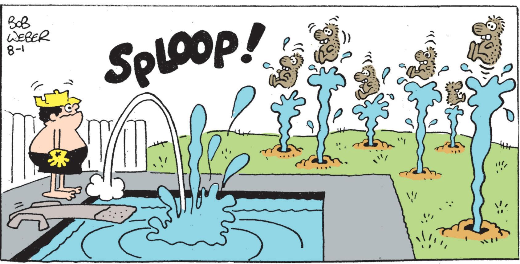 Line OCR: ??? WEBER 8-1 SpLOOP! W ??? WEBER 8-1 SpLOOP ! W