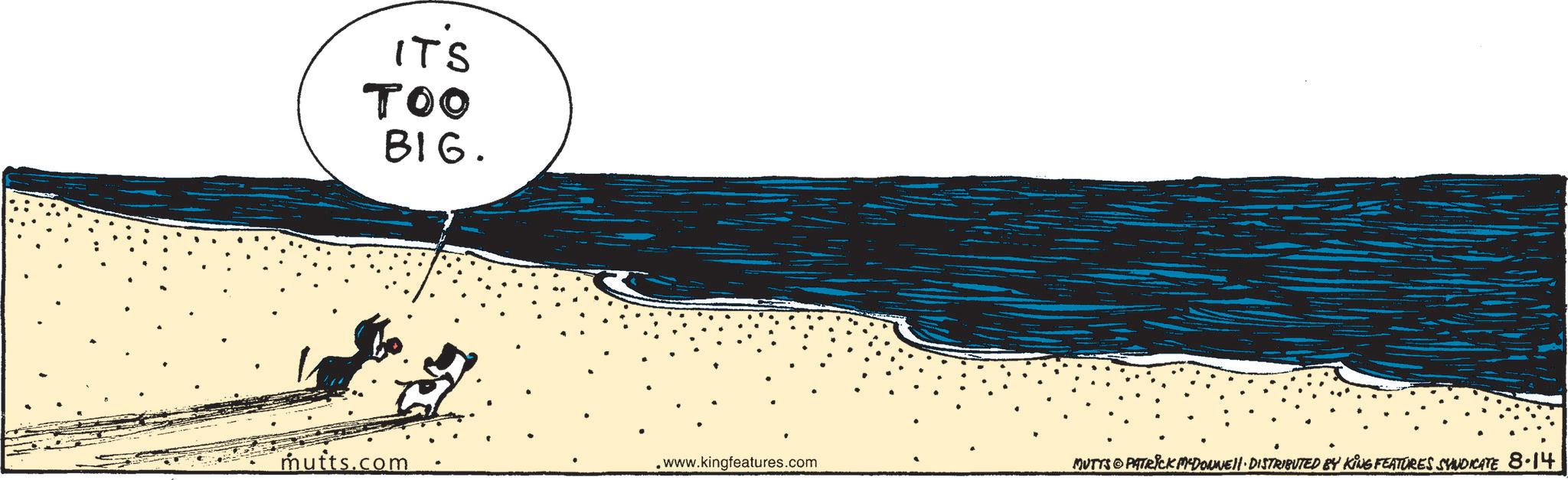 Illustration OCR: IT'S TOO BIG. mutts.com www.kingfeatures.com MUTTS PATRICK MADONNEll. DISTRIBUTED BY KING FEATURES SYNDICATE 8.14 IT'S TOO BIG . mutts.com www.kingfeatures.com MUTTS PATRICK MADONNEll . DISTRIBUTED BY KING FEATURES SYNDICATE 8.14