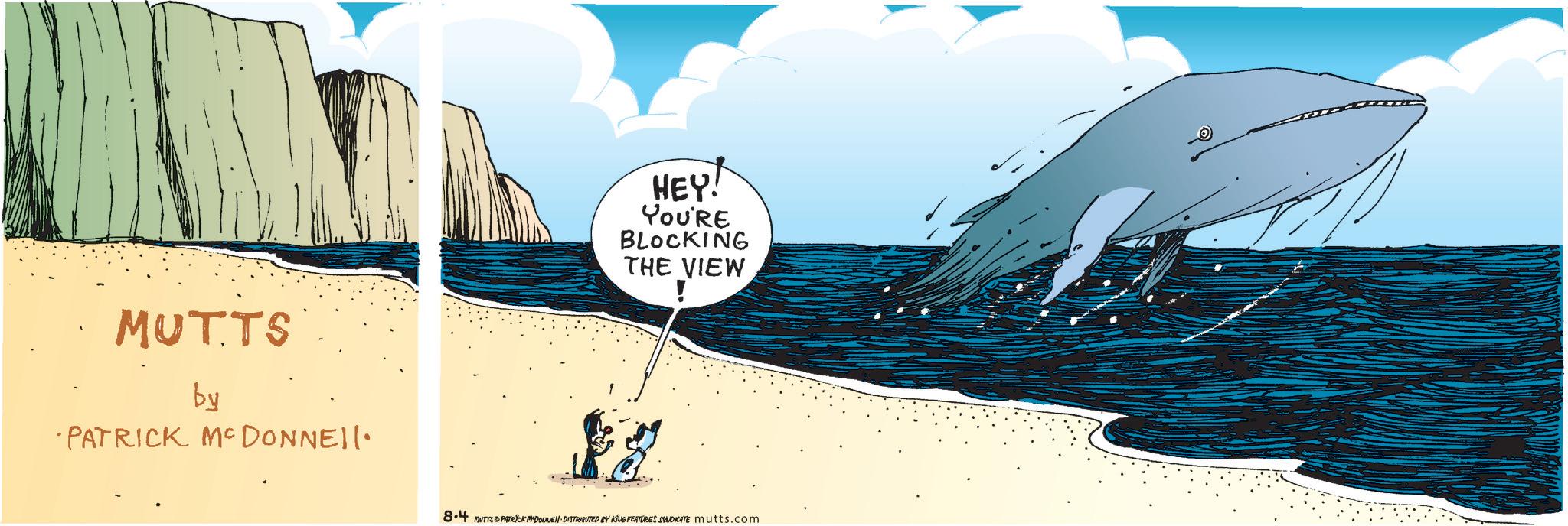 Sky OCR: MUTTS by PATRICK MCDONNEll. HEY! YOU'RE BLOCKING THE VIEW 8.4 MUTYS PATRICK MYDONNELL DISTRIBUTED BY KING FEATURES SYNDICATE mutts.com MUTTS by PATRICK MCDONNEll . HEY ! YOU'RE BLOCKING THE VIEW 8.4 MUTYS PATRICK MYDONNELL DISTRIBUTED BY KING FEATURES SYNDICATE mutts.com