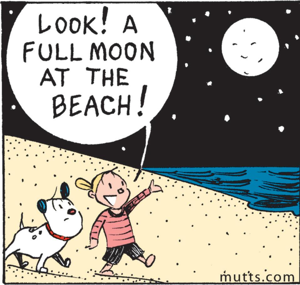 Sky OCR: LOOK! A FULL MOON AT THE BEACH! • mutts.com LOOK ! A FULL MOON AT THE BEACH ! • mutts.com