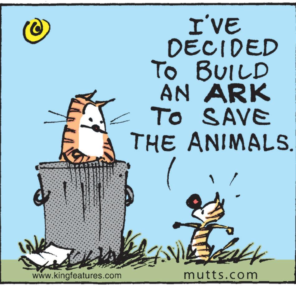 Humour OCR: I'VE DECIDED TO BUILD AN ARK TO SAVE To THE ANIMALS. www.kingfeatures.com mutts.com I'VE DECIDED TO BUILD AN ARK TO SAVE To THE ANIMALS . www.kingfeatures.com mutts.com