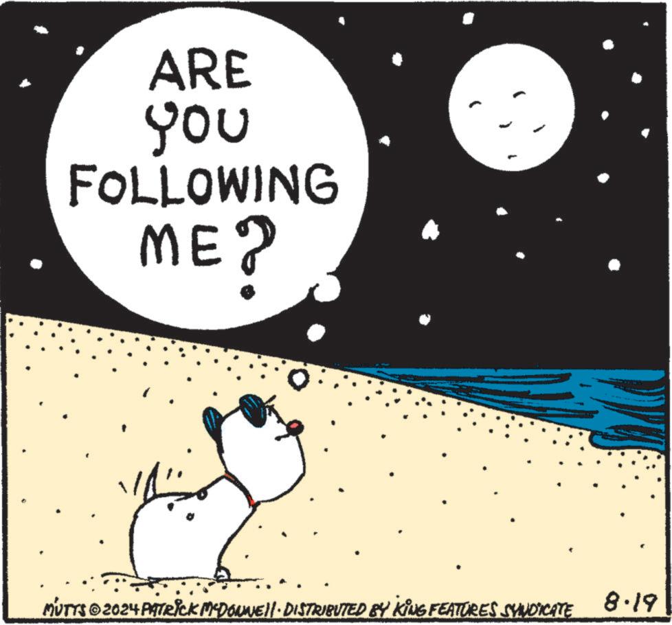 Circle OCR: ARE you FOLLOWING ME? MUTTS©2024 PATRICK MCDONNEL! · DISTRIBUTED BY KING FEATURES SYNDICATE 8.19 ARE you FOLLOWING ME ? MUTTS © 2024 PATRICK MCDONNEL ! · DISTRIBUTED BY KING FEATURES SYNDICATE 8.19
