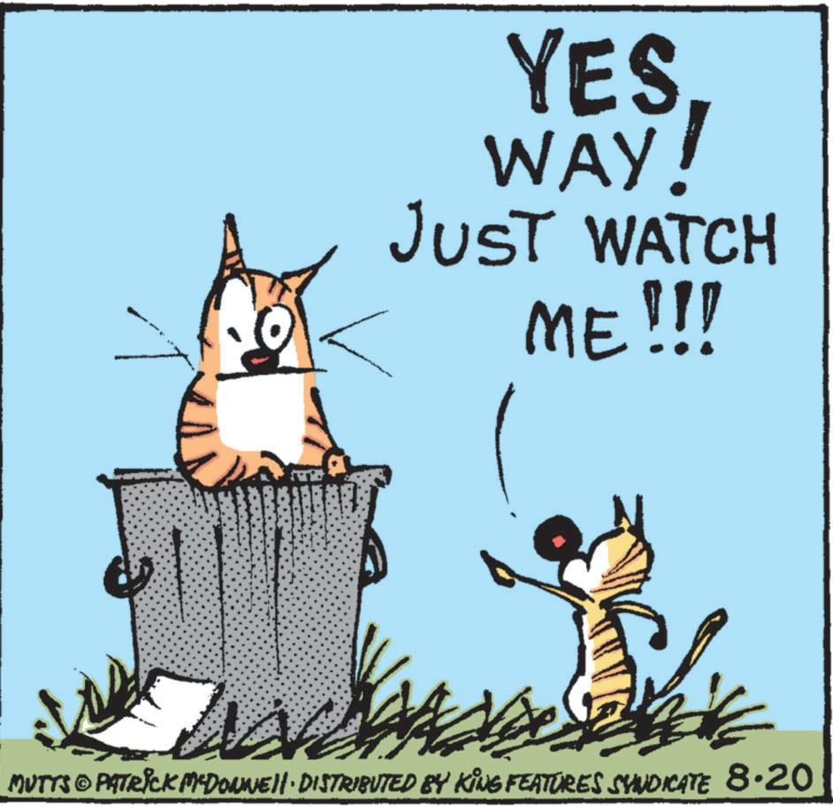 Illustration OCR: YES. WAY! JUST WATCH ME!!! MUTTS © PATRICK MEDOWNEII· DISTRIBUTED BY KING FEATURES SYNDICATE 8·20 YES . WAY ! JUST WATCH ME !!! MUTTS © PATRICK MEDOWNEII · DISTRIBUTED BY KING FEATURES SYNDICATE 8 · 20