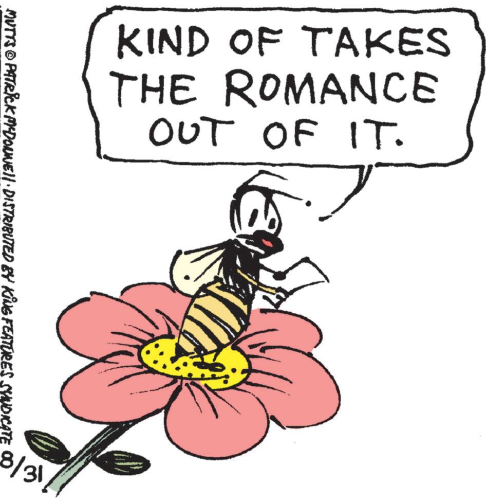 Illustration OCR: KIND OF TAKES THE ROMANCE OUT OF IT. MUTTS © PATRICK MYDONNE!! · DISTRIBUTED BY KING FEATURES SYNDICATE 8/31 KIND OF TAKES THE ROMANCE OUT OF IT . MUTTS © PATRICK MYDONNE !! · DISTRIBUTED BY KING FEATURES SYNDICATE 8/31