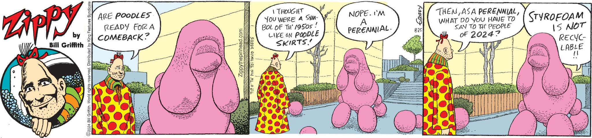 Adaptation OCR: ZAPPY by Bill Griffith ARE POODLES READY FOR A COMEBACK? C2024 Bill Griffith. World rights reserved. Distributed by King Features Syndicate Zippythepinhead.com TIPO'TH PIN TO: DAVID DEEDS T I THOUGHT YOU WERE A SYM- BOL OF TH 1950s. LIKE ON POODLE SKIRTS! NOPE. I'M A PERENNIAL. GRIFFY 825 THENWHAT DO YOU HAVE TO SAY TO TH PEOPLE OF 2024? STYROFOAM IS NOT RECYC- LABLE !! ZAPPY by Bill Griffith ARE POODLES READY FOR A COMEBACK ? C2024 Bill Griffith . World rights reserved . Distributed by King Features Syndicate Zippythepinhead.com TIPO'TH PIN TO : DAVID DEEDS T I THOUGHT YOU WERE A SYM- BOL OF TH 1950s . LIKE ON POODLE SKIRTS ! NOPE . I'M A PERENNIAL . GRIFFY 825 THENASA PERENNIALWHAT DO YOU HAVE TO SAY TO TH PEOPLE OF 2024 ? STYROFOAM IS NOT RECYC- LABLE !!