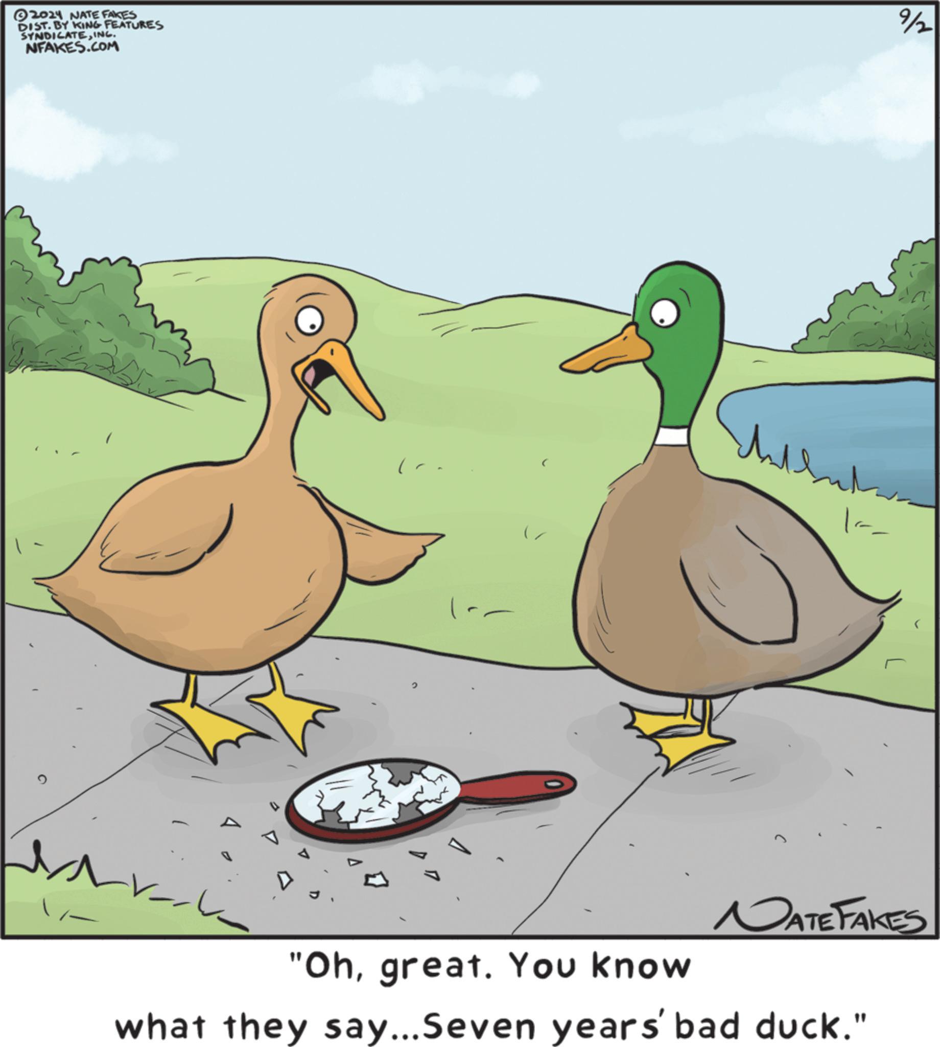 Waterfowl OCR: 2024 NATE FAKES DIST. BY KING FEATURES SYNDICATEINC. NFAKES.COM 9/2 ? 2 ? ( ????? ? NATE FAKES "Ohgreat. You know what they say...Seven years' bad duck." 2024 NATE FAKES DIST . BY KING FEATURES SYNDICATEINC . NFAKES.COM 9/2 ? 2 ? ( ????? ? NATE FAKES " Ohgreat . You know what they say ... Seven years ' bad duck . "