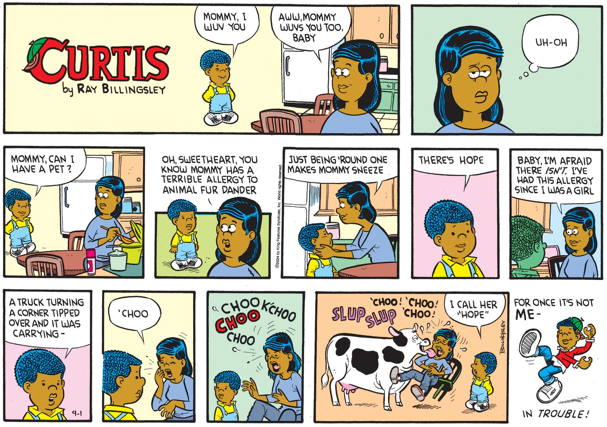 Sharing OCR: CURTIS by RAY BILLINGSLEY MOMMYCAN I HAVE A PET? A TRUCK TURNING A CORNER TIPPED OVER AND IT WAS CARRYING- 9-1 ? 'CHOO MOMMYI WUV YOU AWWMOMMY WUVS YOU TOOBABY UH-OH OHYOU KNOW MOMMY HAS A TERRIBLE ALLERGY TO ANIMAL FUR DANDER ©2024 by King Features SyndicateInc. World nights reserved. JUST BEING 'ROUND ONE MAKES MOMMY SNEEZE THERE'S HOPE BABYI'M AFRAID THERE ISN'T. I'VE HAD THIS ALLERGY SINCE I WAS A GIRL CHOO CHOOKCHOO SLUP SLUP CHOO! CHOO! I CALL HER CHOO! FOR ONCE IT'S NOT "HOPE" ME- CHOO BILLINGSLEY IN TROUBLE! CURTIS by RAY BILLINGSLEY MOMMYCAN I HAVE A PET ? A TRUCK TURNING A CORNER TIPPED OVER AND IT WAS CARRYING- 9-1 ? ' CHOO MOMMYI WUV YOU AWWMOMMY WUVS YOU TOOBABY UH - OH OHYOU KNOW MOMMY HAS A TERRIBLE ALLERGY TO ANIMAL FUR DANDER © 2024 by King Features SyndicateInc. World nights reserved . JUST BEING ' ROUND ONE MAKES MOMMY SNEEZE THERE'S HOPE BABYI'M AFRAID THERE ISN'T . I'VE HAD THIS ALLERGY SINCE I WAS A GIRL CHOO CHOOKCHOO SLUP SLUP CHOO ! CHOO ! I CALL HER CHOO ! FOR ONCE IT'S NOT " HOPE " ME- CHOO BILLINGSLEY IN TROUBLE !