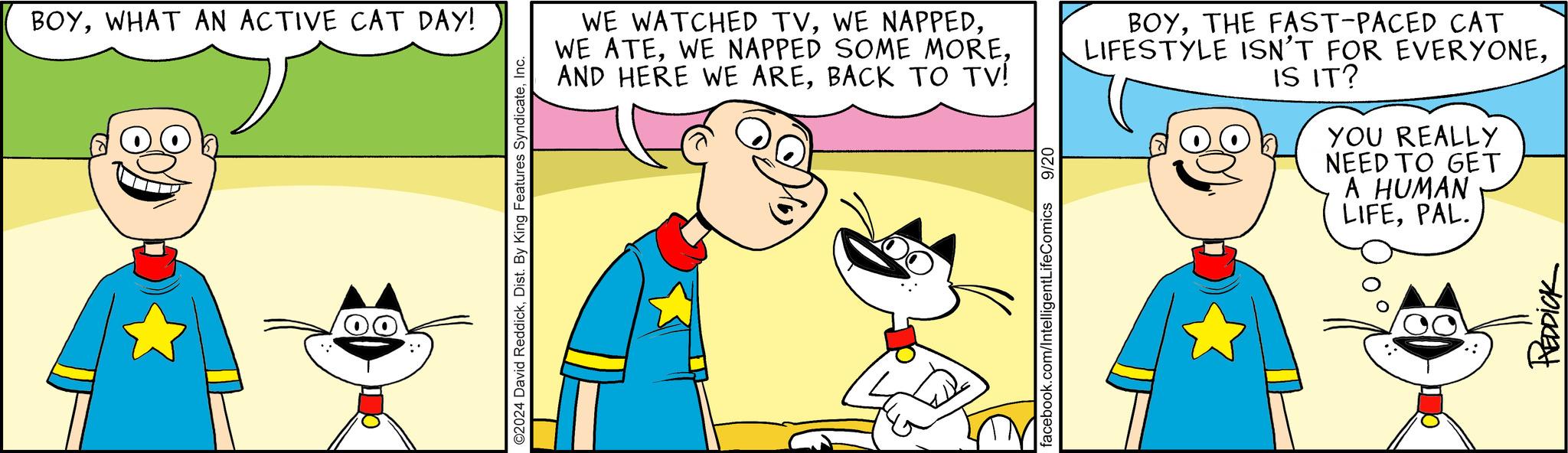 Art OCR: BOYWHAT AN ACTIVE CAT DAY! ©2024 David ReddickInc. WE WATCHED TVBACK TO TV! BOYTHE FAST-PACED CAT LIFESTYLE ISN'T FOR EVERYONEIS IT? facebook.com/IntelligentLifeComics 9/20 YOU REALLY NEED TO GET A HUMAN LIFEPAL. REDDICK BOYWHAT AN ACTIVE CAT DAY ! © 2024 David ReddickDist . By King Features SyndicateInc. WE WATCHED TVWE NAPPEDWE ATEWE NAPPED SOME MOREAND HERE WE AREBACK TO TV ! BOYTHE FAST - PACED CAT LIFESTYLE ISN'T FOR EVERYONEIS IT ? facebook.com/IntelligentLifeComics 9/20 YOU REALLY NEED TO GET A HUMAN LIFEPAL . REDDICK
