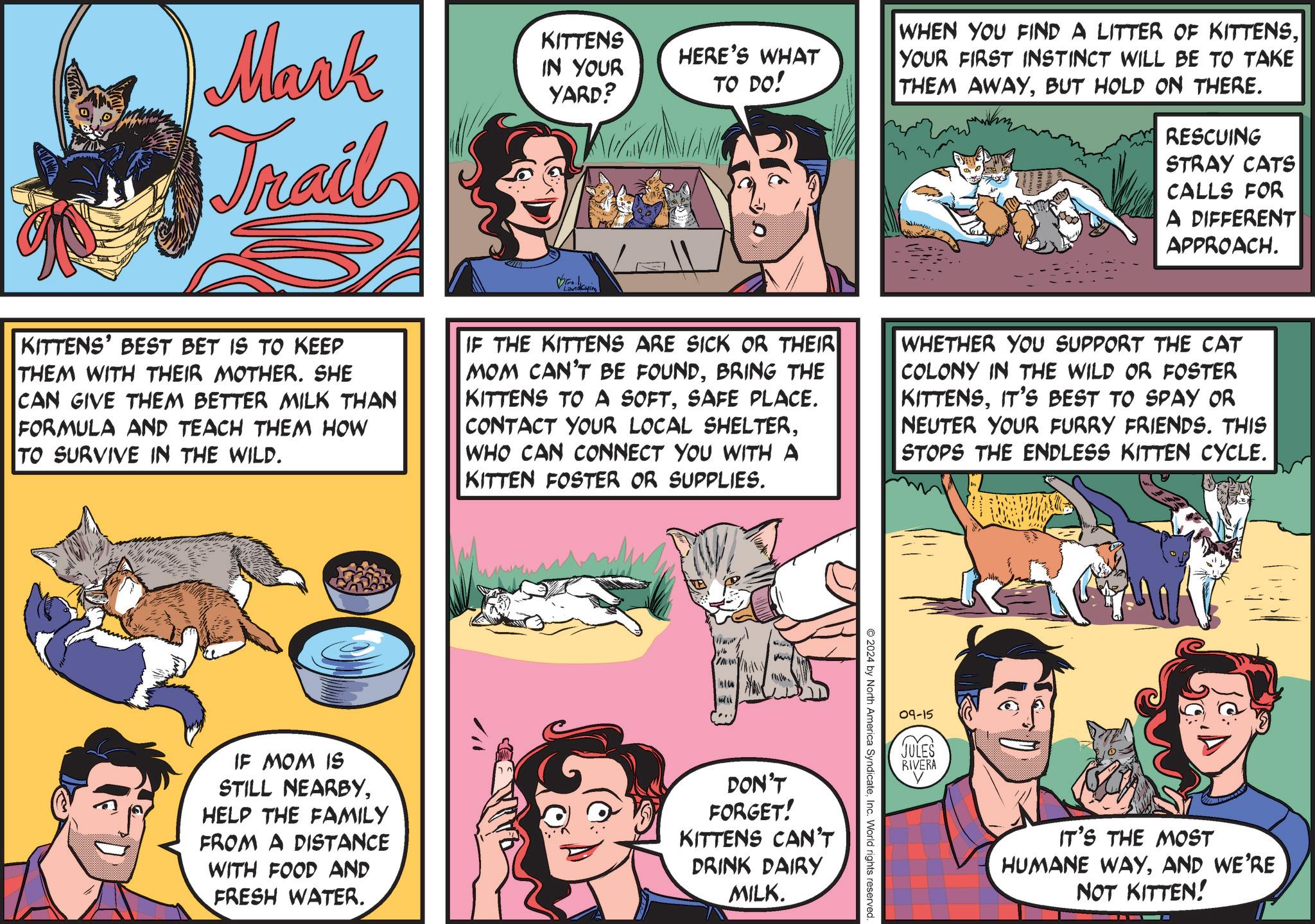Sharing OCR: Mark Trail KITTENS IN YOUR YARD? HERE'S WHAT TO DO! WHEN YOU FIND A LITTER OF KITTENSYOUR FIRST INSTINCT WILL BE TO TAKE THEM AWAYBUT HOLD ON THERE. RESCUING STRAY CATS CALLS FOR A DIFFERENT APPROACH. KITTENS' BEST BET IS TO KEEP THEM WITH THEIR MOTHER. SHE CAN GIVE THEM BETTER MILK THAN FORMULA AND TEACH THEM HOW TO SURVIVE IN THE WILD. IF THE KITTENS ARE SICK OR THEIR MOM CAN'T BE FOUNDBRING THE KITTENS TO A SOFTSAFE PLACE. CONTACT YOUR LOCAL SHELTERWHO CAN CONNECT YOU WITH A KITTEN FOSTER OR SUPPLIES. WHETHER YOU SUPPORT THE CAT COLONY IN THE WILD OR FOSTER KITTENSIT'S BEST TO SPAY OR NEUTER YOUR FURRY FRIENDS. THIS STOPS THE ENDLESS KITTEN CYCLE. IW w th IF MOM IS STILL NEARBYHELP THE FAMILY FROM A DISTANCE WITH FOOD AND FRESH WATER. DON'T FORGET! KITTENS CAN'T DRINK DAIRY MILK. 2024 by North America SyndicateInc. World rights reserved. 09-15 JULES RIVERA IT'S THE MOST HUMANE WAYAND WE'RE NOT KITTEN! Mark Trail KITTENS IN YOUR YARD ? HERE'S WHAT TO DO ! WHEN YOU FIND A LITTER OF KITTENSYOUR FIRST INSTINCT WILL BE TO TAKE THEM AWAYBUT HOLD ON THERE . RESCUING STRAY CATS CALLS FOR A DIFFERENT APPROACH . KITTENS ' BEST BET IS TO KEEP THEM WITH THEIR MOTHER . SHE CAN GIVE THEM BETTER MILK THAN FORMULA AND TEACH THEM HOW TO SURVIVE IN THE WILD . IF THE KITTENS ARE SICK OR THEIR MOM CAN'T BE FOUNDBRING THE KITTENS TO A SOFTSAFE PLACE . CONTACT YOUR LOCAL SHELTERWHO CAN CONNECT YOU WITH A KITTEN FOSTER OR SUPPLIES . WHETHER YOU SUPPORT THE CAT COLONY IN THE WILD OR FOSTER KITTENSIT'S BEST TO SPAY OR NEUTER YOUR FURRY FRIENDS . THIS STOPS THE ENDLESS KITTEN CYCLE . IW w th IF MOM IS STILL NEARBYHELP THE FAMILY FROM A DISTANCE WITH FOOD AND FRESH WATER . DON'T FORGET ! KITTENS CAN'T DRINK DAIRY MILK . 2024 by North America SyndicateInc. World rights reserved . 09-15 JULES RIVERA IT'S THE MOST HUMANE WAYAND WE'RE NOT KITTEN !