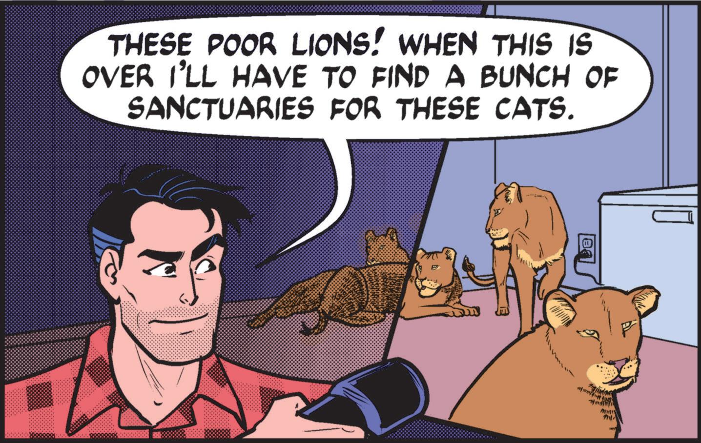Publication OCR: THESE POOR LIONS! WHEN THIS IS OVER I'LL HAVE TO FIND A BUNCH OF SANCTUARIES FOR THESE CATS. P THESE POOR LIONS ! WHEN THIS IS OVER I'LL HAVE TO FIND A BUNCH OF SANCTUARIES FOR THESE CATS . P