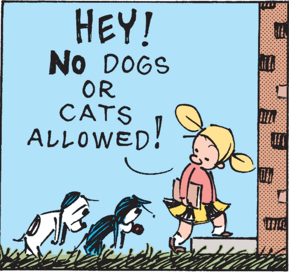Pleased OCR: HEY! NO DOGS OR CATS ALLOWED! HEY ! NO DOGS OR CATS ALLOWED !