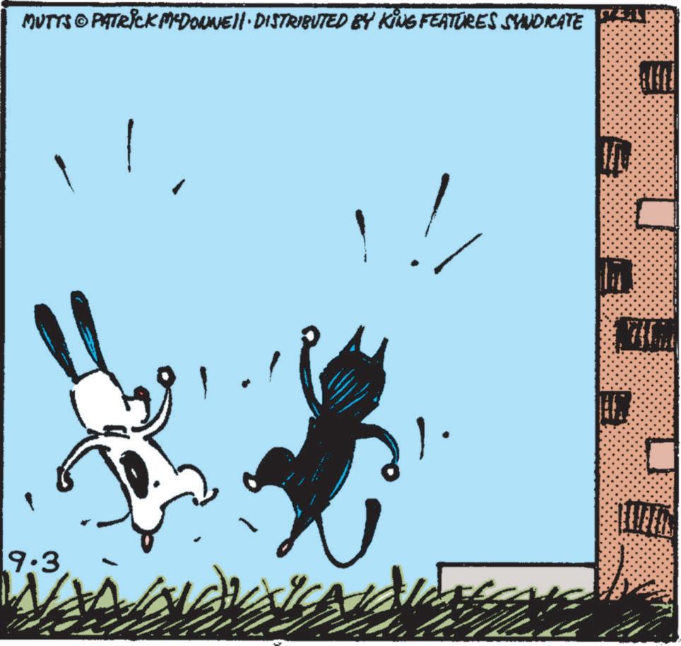 Drawing OCR: MUTTS © PATRICK MYDONNELL DISTRIBUTED BY KING FEATURES SYNDICATE 19.3 ?? MUTTS © PATRICK MYDONNELL DISTRIBUTED BY KING FEATURES SYNDICATE 19.3 ??
