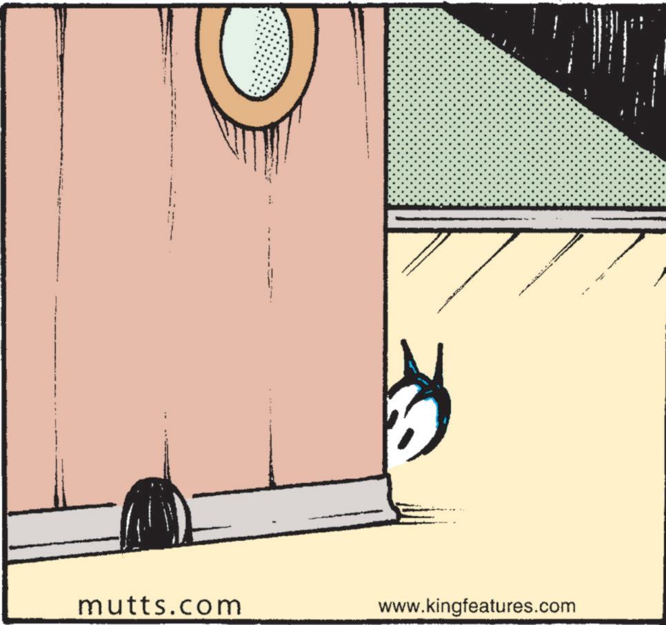 Graphics OCR: mutts.com www.kingfeatures.com mutts.com www.kingfeatures.com