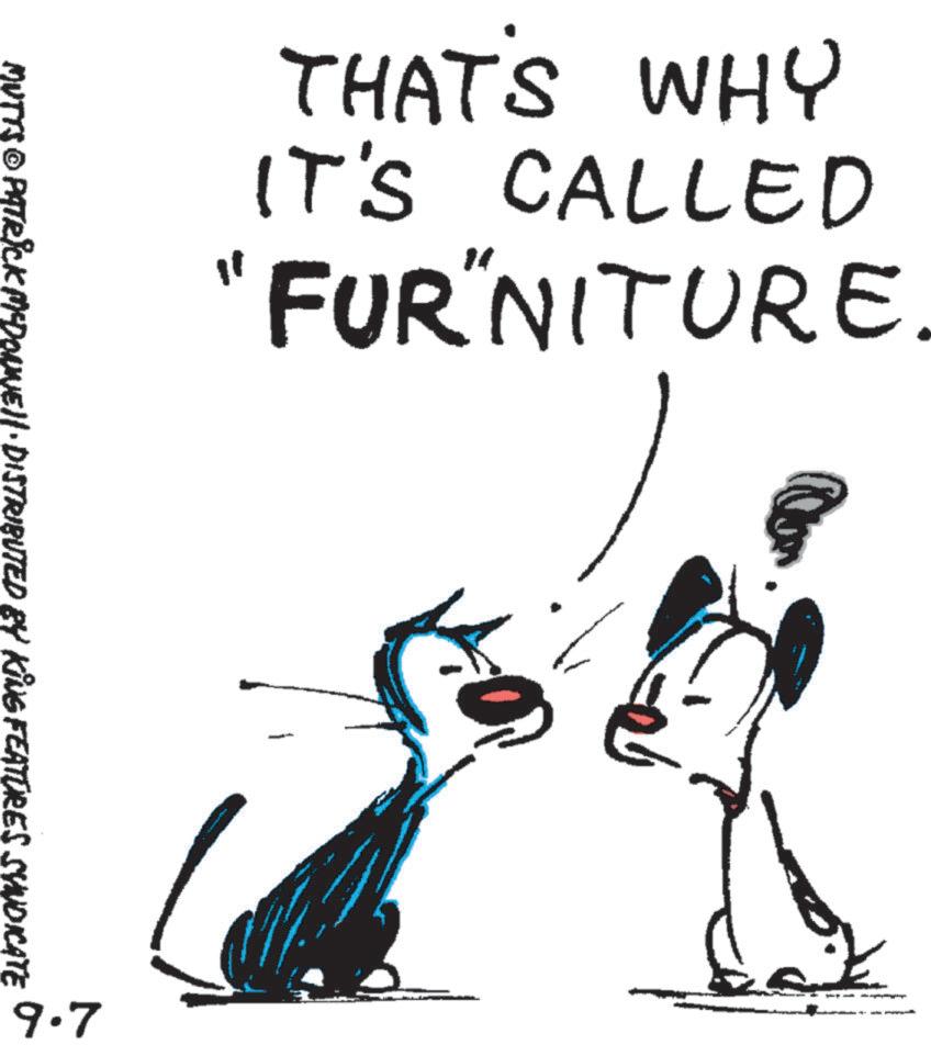 Poster OCR: THAT'S WHY IT'S CALLED "FURNITURE. MUTTS © PATRICK MCDONNE· DISTRIBUTED BY KING FEATURES SYNDICATE 9.7 0 T THAT'S WHY IT'S CALLED " FURNITURE . MUTTS © PATRICK MCDONNE · DISTRIBUTED BY KING FEATURES SYNDICATE 9.7 0 T