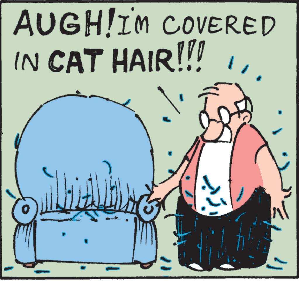 Adaptation OCR: AUGH!I'M COVERED IN CAT HAIR!!! N AUGH ! I'M COVERED IN CAT HAIR !!! N