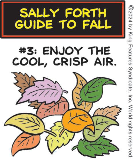 Illustration OCR: ©2024 by King Features SyndicateInc. World rights reserved. SALLY FORTH GUIDE TO FALL #3: ENJOY THE COOLCRISP AIR. © 2024 by King Features SyndicateInc. World rights reserved . SALLY FORTH GUIDE TO FALL # 3 : ENJOY THE COOLCRISP AIR .