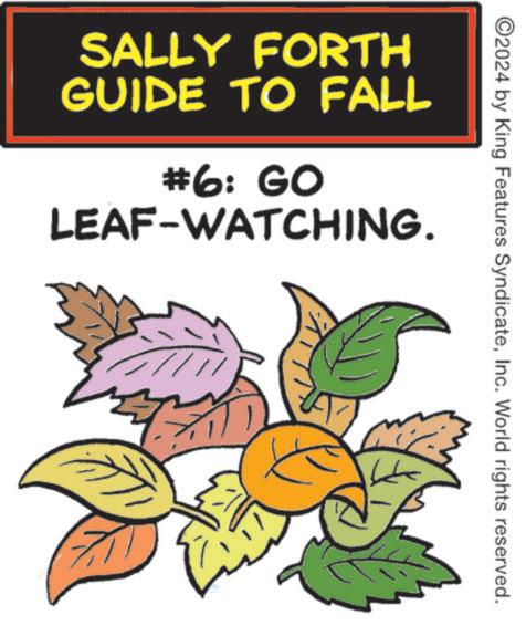 Symbol OCR: ©2024 by King Features SyndicateInc. World rights reserved. SALLY FORTH GUIDE TO FALL #6: GO LEAF-WATCHING. © 2024 by King Features SyndicateInc. World rights reserved . SALLY FORTH GUIDE TO FALL # 6 : GO LEAF - WATCHING .
