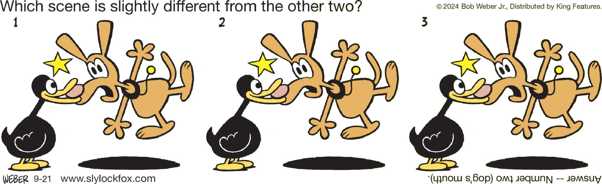 Pleased OCR: Which scene is slightly different from the other two? 1 2 3 © 2024 Bob Weber Jr.Distributed by King Features. WEBER 9-21 www.slylockfox.com ( ) -- Which scene is slightly different from the other two ? 1 2 3 © 2024 Bob Weber Jr.Distributed by King Features . WEBER 9-21 www.slylockfox.com ( ) --