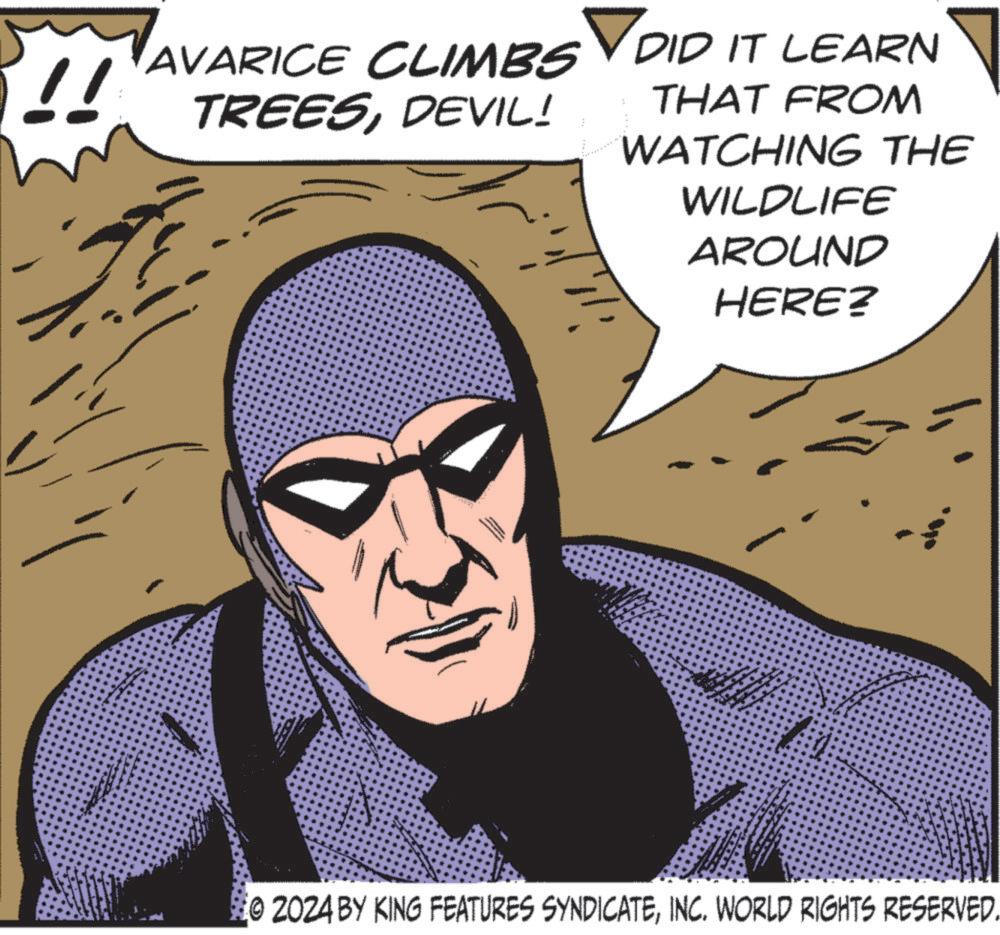 Fictional character OCR: !! AVARICE CLIMBS DID IT LEARN TREESDEVIL! THAT FROM WATCHING THE WILDLIFE AROUND HERE? 02024 BY KING FEATURES SYNDICATEINC. WORLD RIGHTS RESERVED. !! AVARICE CLIMBS DID IT LEARN TREESDEVIL ! THAT FROM WATCHING THE WILDLIFE AROUND HERE ? 02024 BY KING FEATURES SYNDICATEINC . WORLD RIGHTS RESERVED .