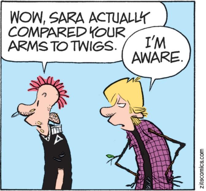 Rectangle OCR: WOWSARA ACTUALLY COMPARED YOUR ARMS TO TWIGS. I'M AWARE. zitscomics.com WOWSARA ACTUALLY COMPARED YOUR ARMS TO TWIGS . I'M AWARE . zitscomics.com