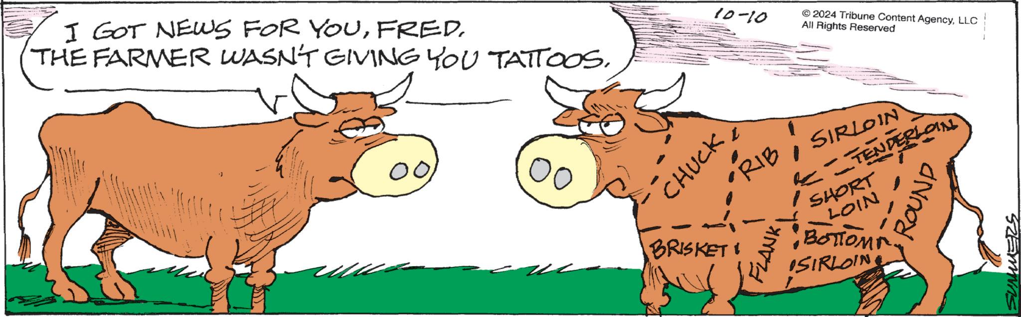 Snout OCR: I GOT NEWS FOR YOUFRED. THE FARMER WASN'T GIVING YOU TATTOOS10-10 © 2024 Tribune Content AgencyLLC All Rights Reserved 00?? CHUCK BRISKET •RIBSIRLOIN - FLANK Re-TENDERLOIN SHORT LOIN ????? SIRLOIN ROUND SUMMERS I GOT NEWS FOR YOUFRED . THE FARMER WASN'T GIVING YOU TATTOOS10-10 © 2024 Tribune Content AgencyLLC All Rights Reserved 00?? CHUCK BRISKET • RIBSIRLOIN - FLANK Re - TENDERLOIN SHORT LOIN ????? SIRLOIN ROUND SUMMERS