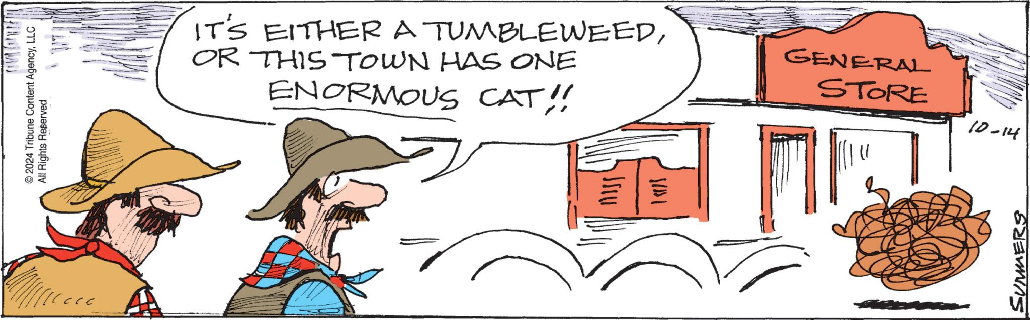 Line OCR: ©2024 Tribune Content AgencyLLC All Rights Reserved IT'S EITHER A TUMBLEWEEDOR THIS TOWN HAS ONE ENORMOUS CAT!! 1801 GENERAL STORE 10-14 SUMMERS © 2024 Tribune Content AgencyLLC All Rights Reserved IT'S EITHER A TUMBLEWEEDOR THIS TOWN HAS ONE ENORMOUS CAT !! 1801 GENERAL STORE 10-14 SUMMERS