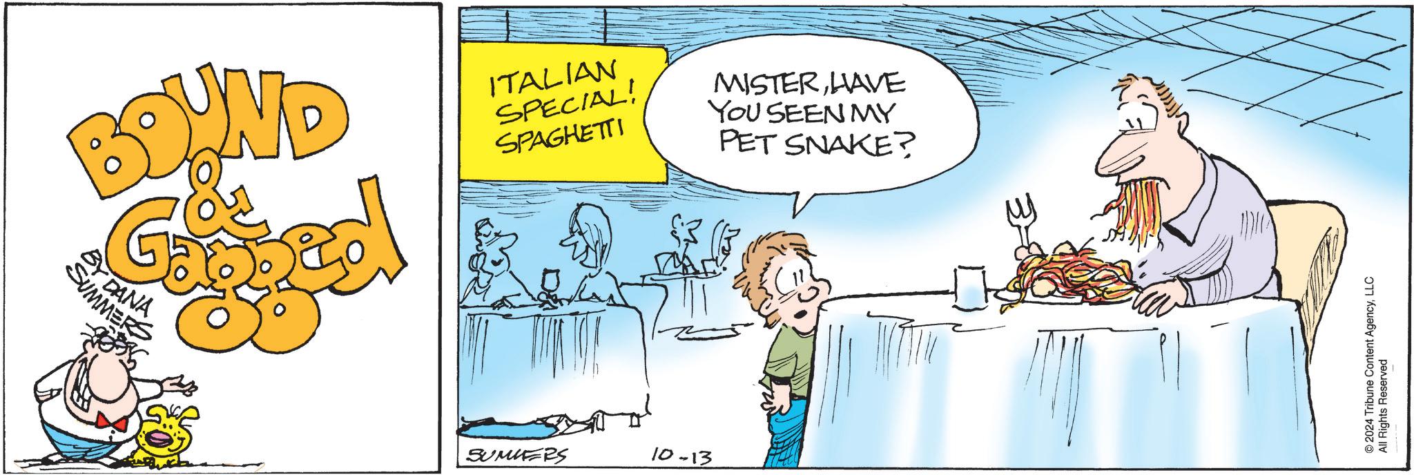 Conversation OCR: BOUND ITALIAN SPECIAL! SPAGHETTI MISTERHAVE YOU SEEN MY PET SNAKE? BY SUMMERS DANA SUMERS 10-13 © 2024 Tribune Content AgencyLLC All Rights Reserved BOUND ITALIAN SPECIAL ! SPAGHETTI MISTERHAVE YOU SEEN MY PET SNAKE ? BY SUMMERS DANA SUMERS 10-13 © 2024 Tribune Content AgencyLLC All Rights Reserved