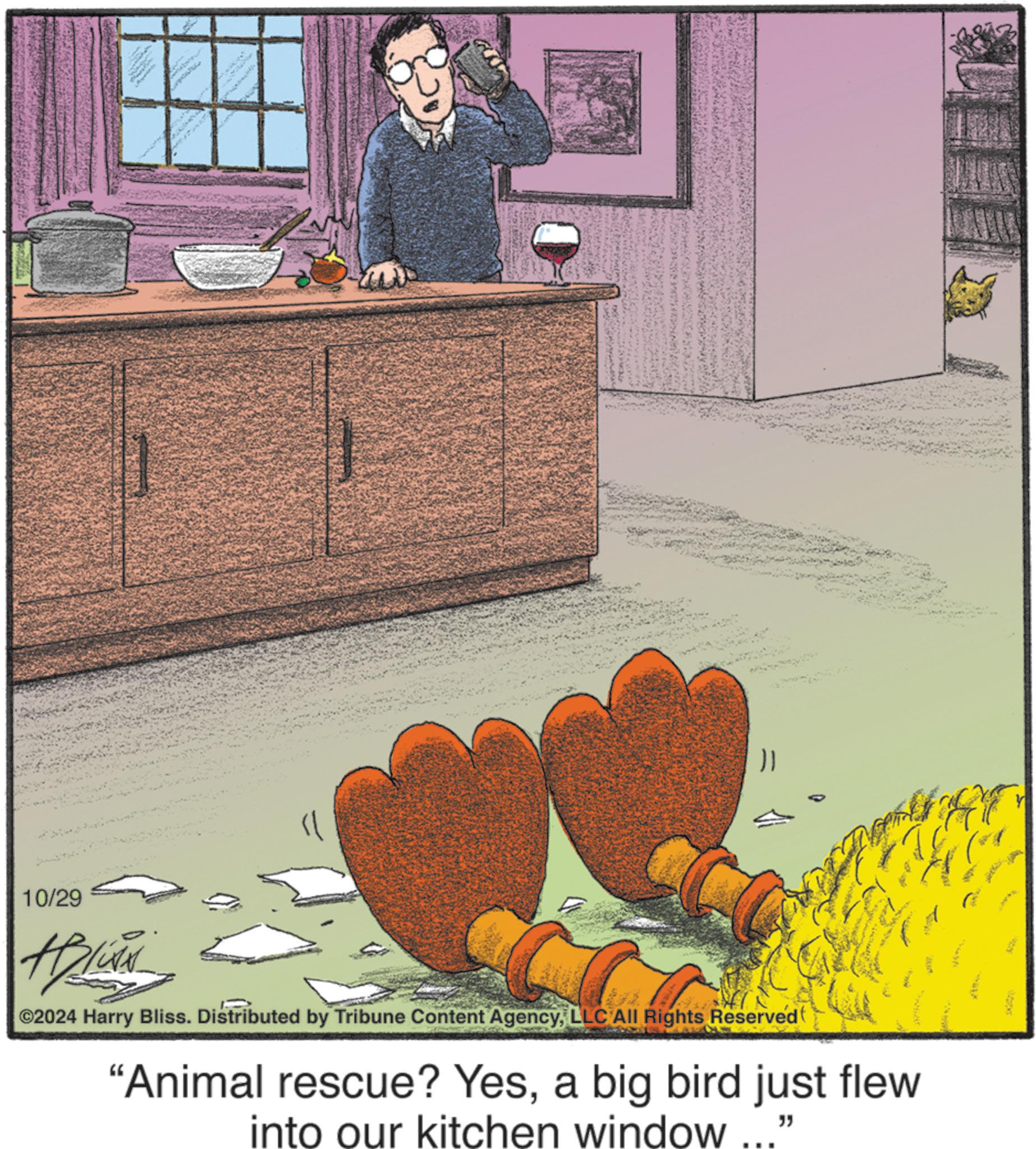 Room OCR: 10/29 Aplin ©2024 Harry Bliss. Distributed by Tribune Content AgencyLLC All Rights Reserved "Animal rescue? Yesa big bird just flew into our kitchen window " 200 10/29 Aplin © 2024 Harry Bliss . Distributed by Tribune Content AgencyLLC All Rights Reserved " Animal rescue ? Yesa big bird just flew into our kitchen window " 200