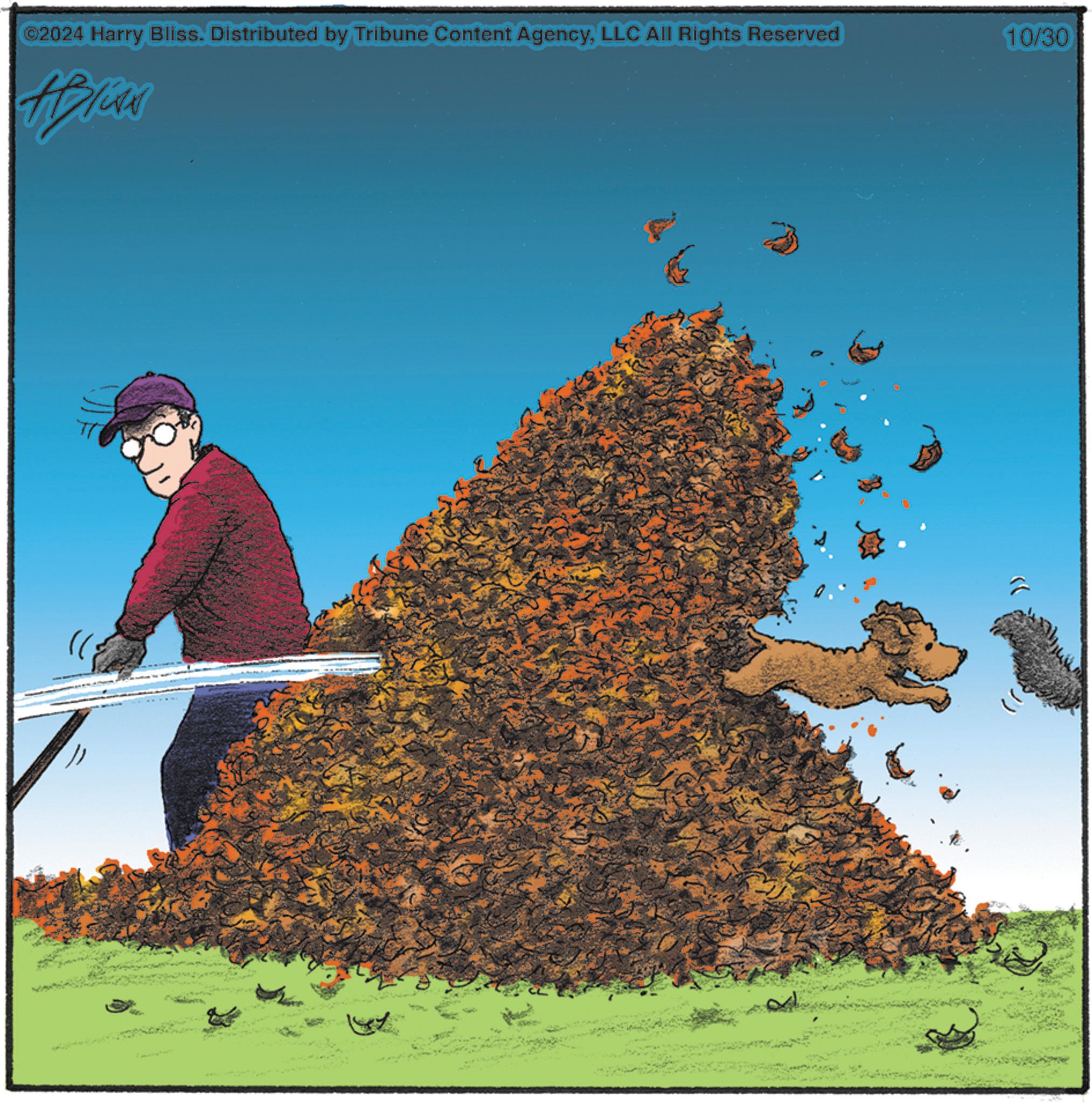 Adaptation OCR: ©2024 Harry Bliss. Distributed by Tribune Content AgencyLLC All Rights Reserved 10/30 Hyliss © 2024 Harry Bliss . Distributed by Tribune Content AgencyLLC All Rights Reserved 10/30 Hyliss