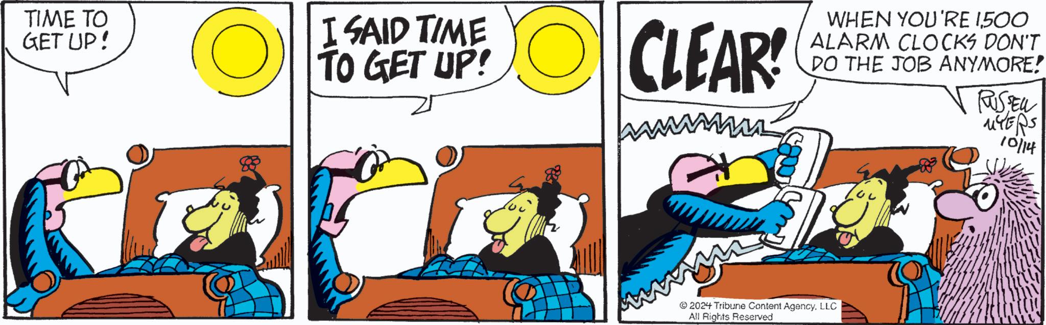 Internet meme OCR: TIME TO GET UP! I SAID TIME TO GET UP! CLEAR! www. WHEN YOU'RE 1500 ALARM CLOCKS DON'T DO THE JOB ANYMORE! RUSSELL MYERS 10/14 2024 Tribune Content AgencyLLC All Rights Reserved TIME TO GET UP ! I SAID TIME TO GET UP ! CLEAR ! www . WHEN YOU'RE 1500 ALARM CLOCKS DON'T DO THE JOB ANYMORE ! RUSSELL MYERS 10/14 2024 Tribune Content AgencyLLC All Rights Reserved