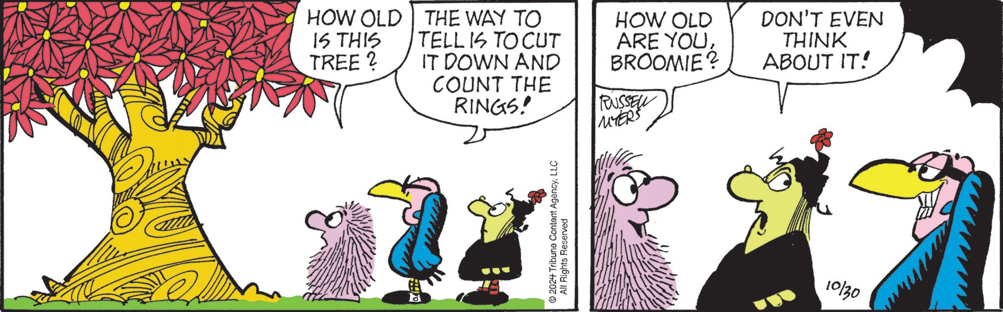 Line OCR: HOW OLD THE WAY TO HOW OLD DON'T EVEN IS THIS TREE? TELL IS TO CUT IT DOWN AND ARE YOUBROOMIE? THINK ABOUT IT! COUNT THE RINGS! RUSSEL MYERS © 2024 Tribune Content AgencyLLC All Rights Reserved 10130 HOW OLD THE WAY TO HOW OLD DON'T EVEN IS THIS TREE ? TELL IS TO CUT IT DOWN AND ARE YOUBROOMIE ? THINK ABOUT IT ! COUNT THE RINGS ! RUSSEL MYERS © 2024 Tribune Content AgencyLLC All Rights Reserved 10130