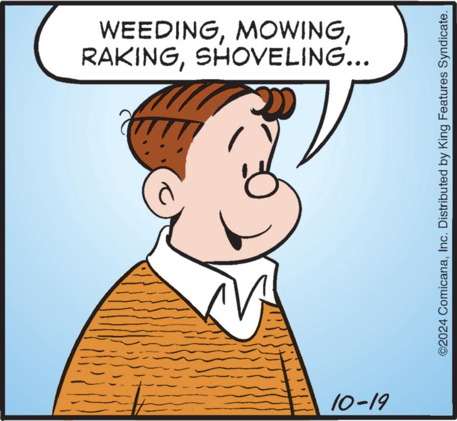 Thumb OCR: RAKINGSHOVELING... WEEDING10-19 ©2024 ComicanaInc. Distributed by King Features Syndicate. RAKINGSHOVELING ... WEEDING10-19 © 2024 ComicanaInc. Distributed by King Features Syndicate .